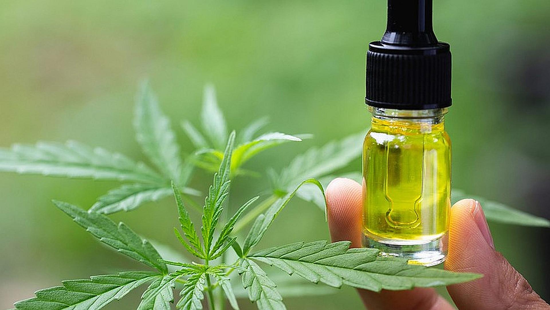The Serenity of CBD Oil: Your Wellness Journey