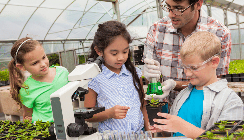 W labiryncie nauki: labirynt eksperymentów i innowacji odkrywanych podczas naszej szkolnej wycieczki naukowej